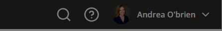 Procorem-search-bar.gif